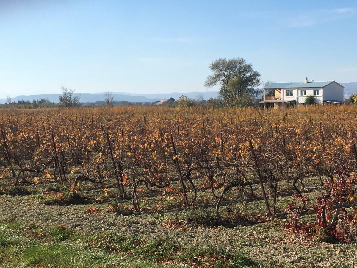 Domaine Limouzy Villa Narbonne Exterior photo