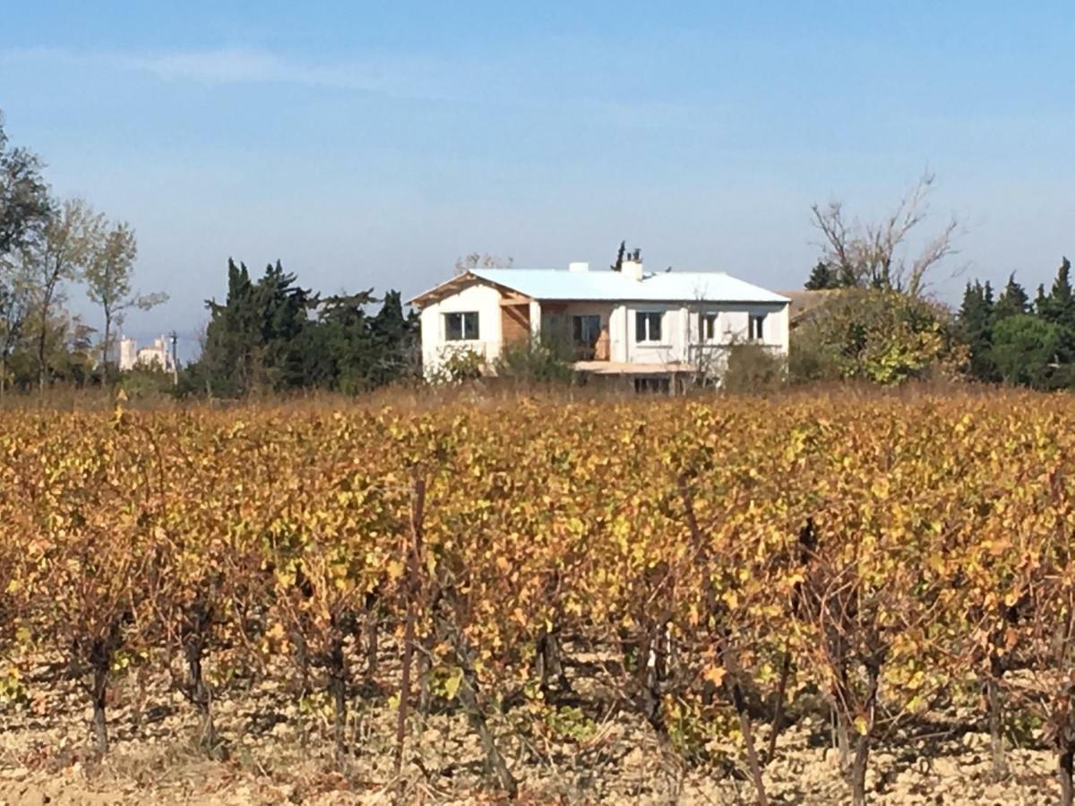 Domaine Limouzy Villa Narbonne Exterior photo